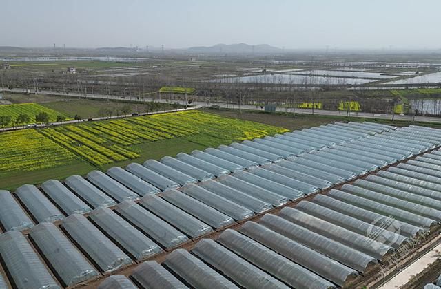 赤壁企業數字化轉型 高端網站建設引領產業升級